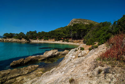 Scenic view of sea against clear blue sky