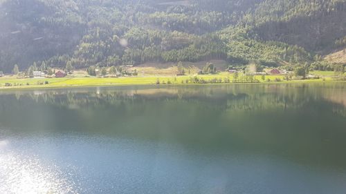 Scenic view of lake by trees