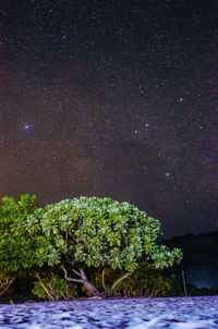 Scenic view of star field at night