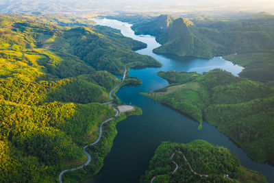 High angle view of river amidst trees