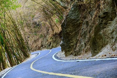 Empty road amidst trees