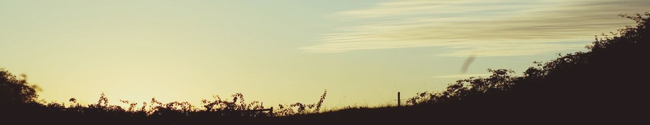 Scenic view of landscape against clear sky