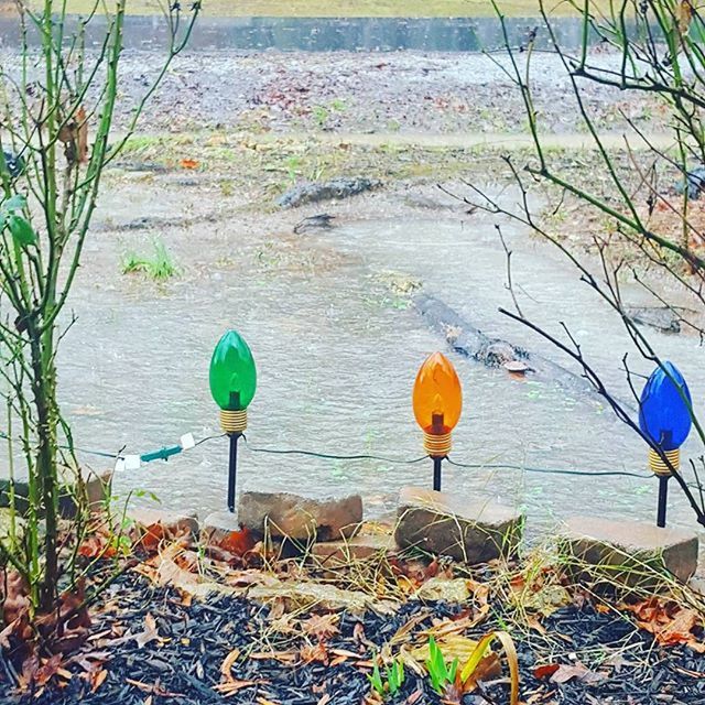 water, multi colored, nature, day, leaf, high angle view, tree, tranquility, outdoors, grass, plant, blue, absence, no people, beauty in nature, variation, growth, umbrella, chair, sunlight