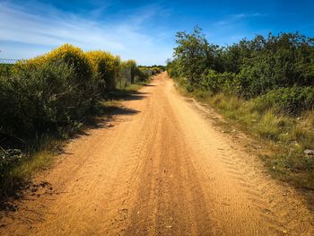 Dirt road amidst trees against sky