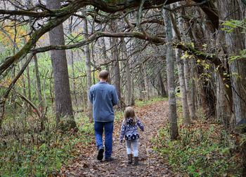 Rear view of father and daughter walking amidst trees in forest