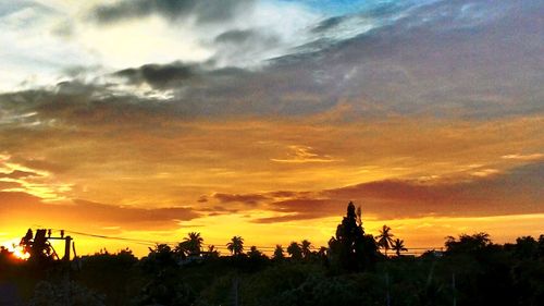 Trees on landscape against sunset sky