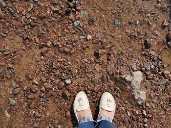 Low section of woman standing on ground