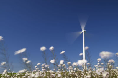 Windmill for renewable electric energy production in spain.