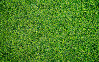 Full frame shot of soccer field