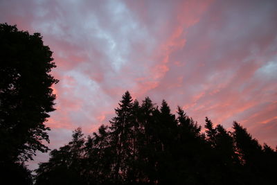 Low angle view of silhouette trees against sky at sunset