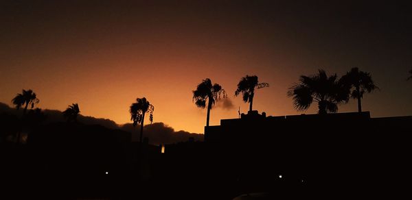 Low angle view of silhouette palm trees against sky during sunset