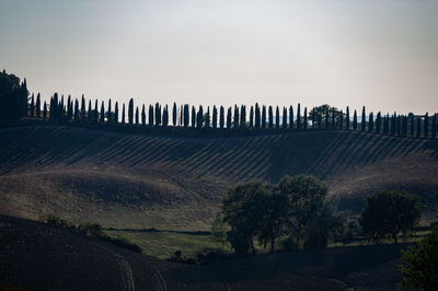 Scenic view of landscape against clear sky