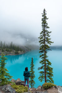 Rear view of woman standing by tree against lake and sky