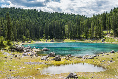 Enchanted panorama. lake of carezza. dolomites, italy