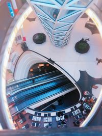 Close-up high angle view