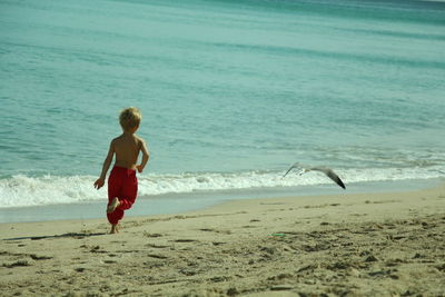 Rear view of shirtless boy chasing bird flying at beach
