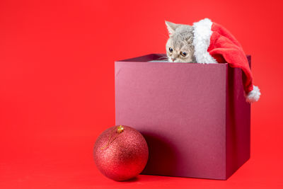 High angle view of gift box against yellow background