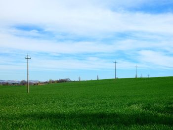 Scenic view of field against sky
