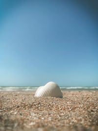 Surface level of sandy beach against clear blue sky
