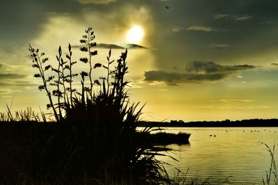 Scenic view of sunset over river