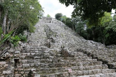 Low angle view of staircase against trees