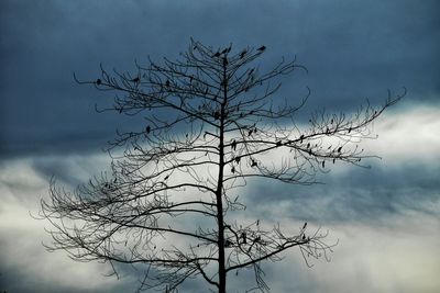 Low angle view of bare tree against cloudy sky