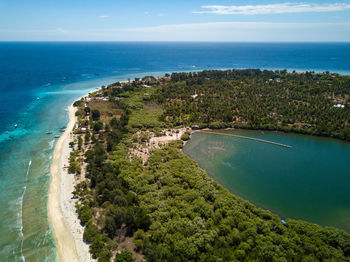 High angle view of tree by sea against sky
