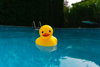 Yellow toy floating on swimming pool