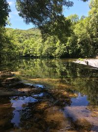 Scenic view of lake in forest