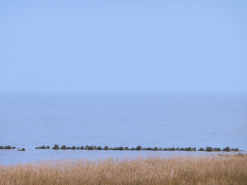 Scenic view of sea against clear sky