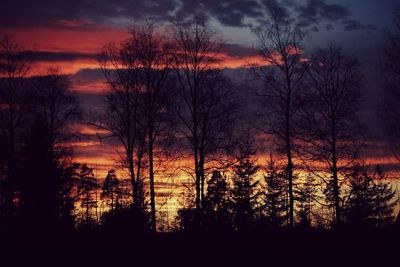 Silhouette trees against orange sky