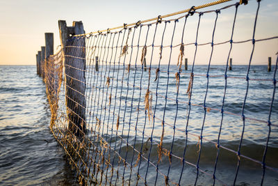 Netting between old wooden posts at the seaside