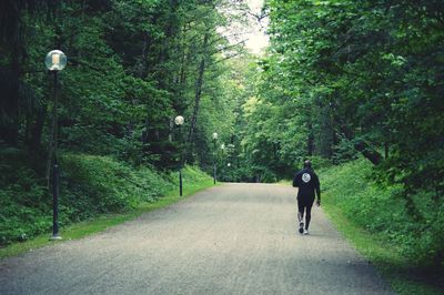 Rear view of man walking on road amidst trees