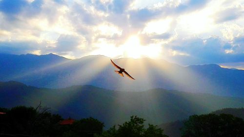 Low angle view of airplane flying against cloudy sky