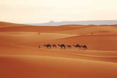 Group of people on sand dune