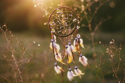 Close-up of dreamcatcher hanging on plant