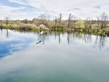 View of birds in lake against sky