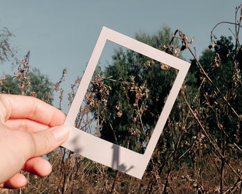 Cropped image of person holding plant against trees