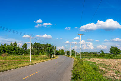 Road amidst plants against sky