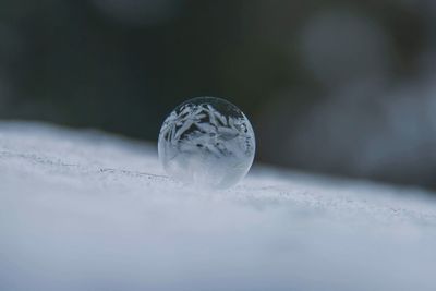 Close-up of snow