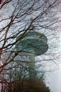 Low angle view of bare trees against sky