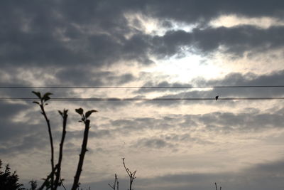 Low angle view of cloudy sky