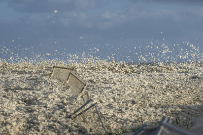 High angle view of seafoam on beach against sky