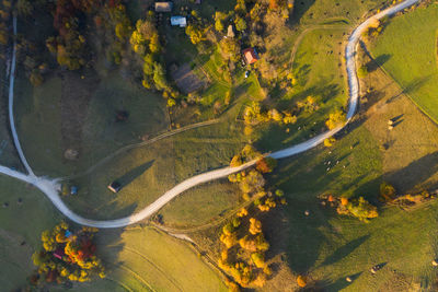 Aerial view of road amidst trees during autumn