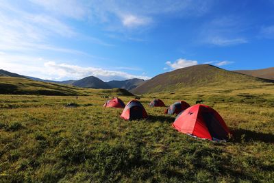 Tents lined on meadow and cattle grazing on rural landscape