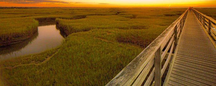 Scenic view of agricultural field against sky during sunset