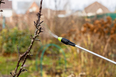 Spraying fruit trees with a pump sprayer with insecticides and fungicides in the spring season