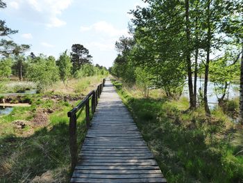 Wooden footbridge amidst trees on landscape against sky