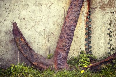 View of abandoned building