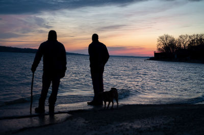 Silhouette dog standing on beach against sky during sunset